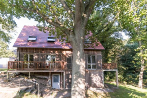 Landhaus DADDELDU Whg. V-D1 (vorne) in Ahrenshoop